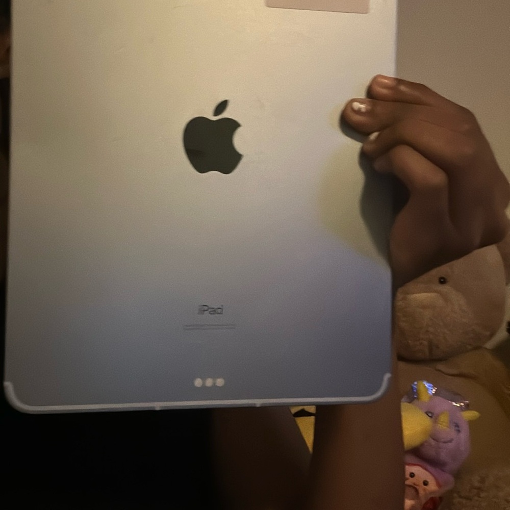 Apple iPad - Sleek Silver Finish
